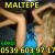 Maltepe Escort Gökçe - Image 4